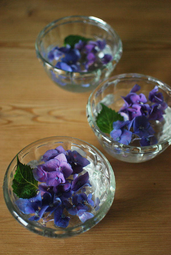 雨の日にしっとり紫陽花とお祝い