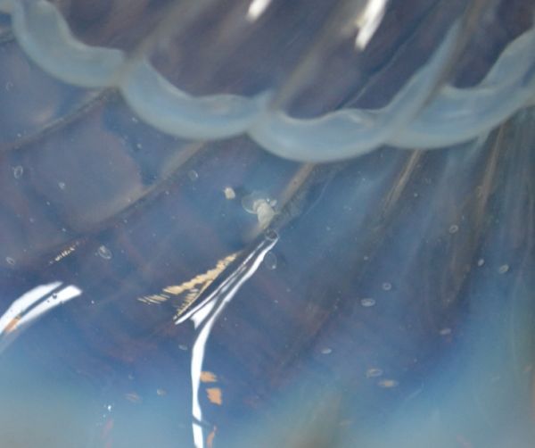 ペンダントライト　照明・ライティング　フリルが美しいオパールセント シェード ペンダントライト（器具セット付き）。シェードは、アンティークのため、誤差があったり、気泡やキズ、汚れが入っている場合もあります。(d-1277-z)