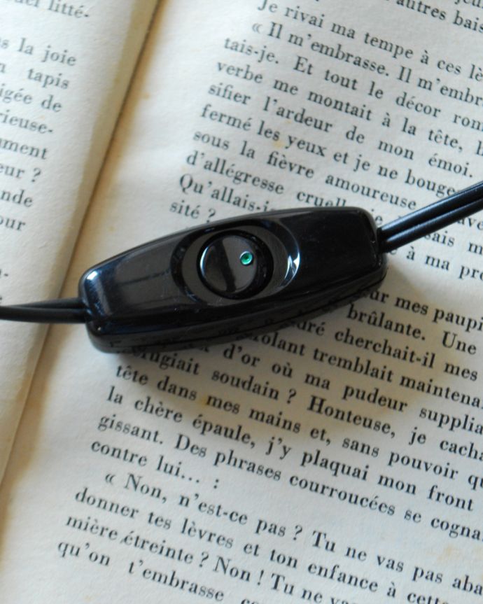 スタンドライト　照明・ライティング　美しいお花デザインのフランスから届いたテーブルランプ、ガラスシェード付き（Ｅ17シャンデリア球付）。スイッチです。(j-126-z)