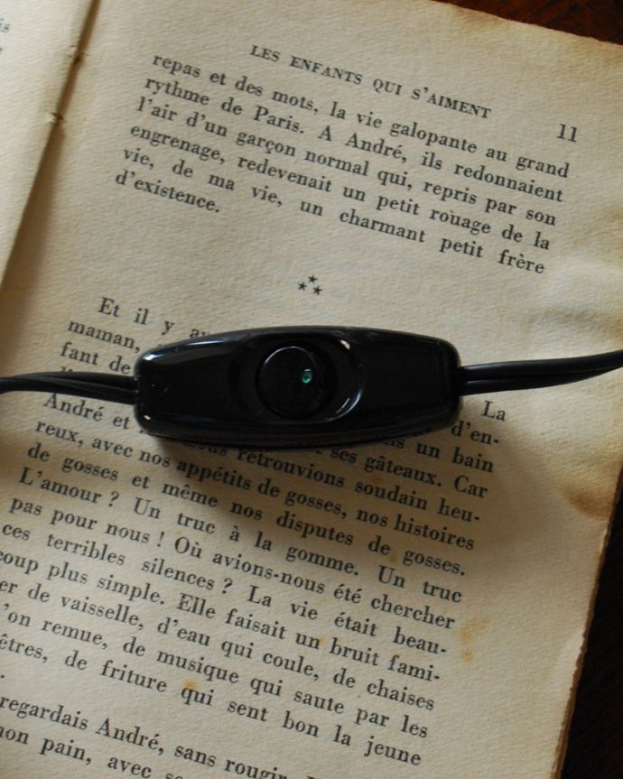 スタンドライト　照明・ライティング　ローズがたっぷり付いたエレガントなアンティークテーブルランプ、ガラスシェード付き（Ｅ17丸球付）。スイッチです。(j-131-z)