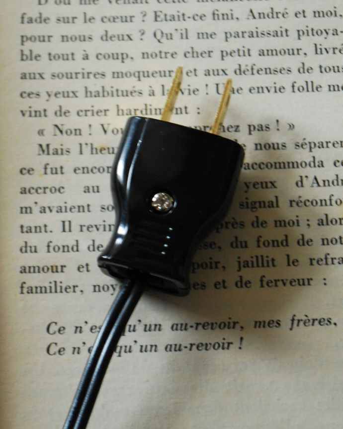 スタンドライト　照明・ライティング　お花の装飾がエレガント、フランスから届いたテーブルランプ、ガラスシェード付き（Ｅ17丸球付）。黒い色のコンセントです。(j-132-z)