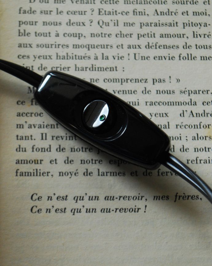 スタンドライト　照明・ライティング　お花の装飾がエレガント、フランスから届いたテーブルランプ、ガラスシェード付き（Ｅ17丸球付）。スイッチです。(j-132-z)