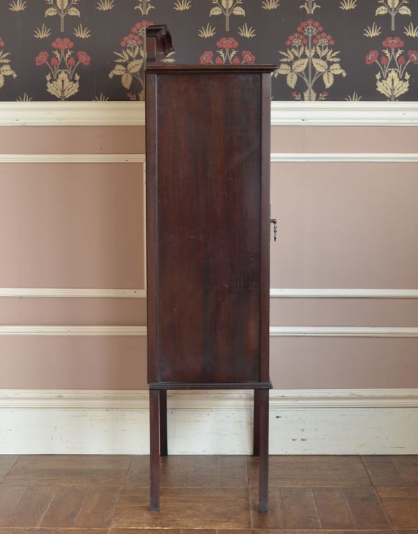 アンティークのキャビネット　アンティーク家具　マホガニー材で造られたアンティーク英国家具、ガラス扉のブックケース（本棚）。横から見てもピカピカです。(j-1372-f)