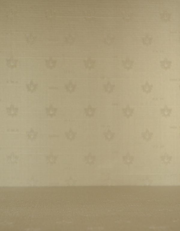 アンティークのキャビネット アンティーク家具 ステンドグラスが美しいアンティーク英国家具、ガラスのショーケース 。柄物の食器やお気に入りのアイテムが引き立つような生地になっています。(j-1495-f)