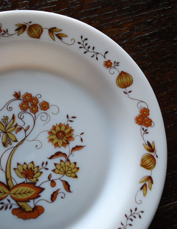 まとめ売り 20枚 業務用 フランス製 アルコパル レストラン 皿 まとめ売り 20枚 業務用 フランス製 アルコパル レストラン 皿 まとめ