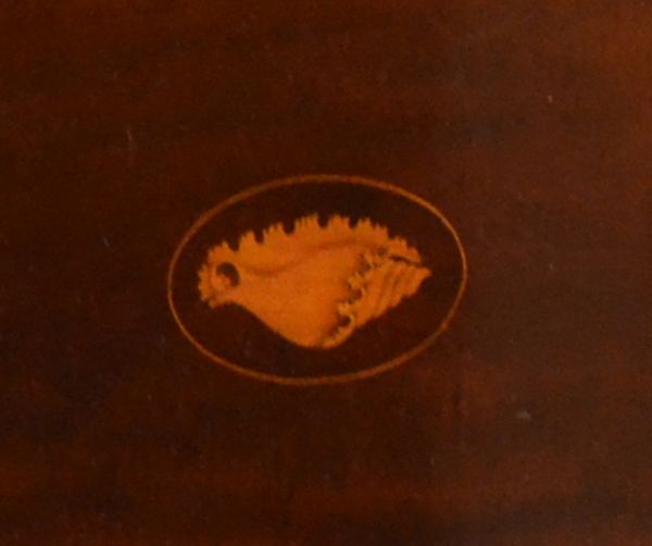 ロイドテーブル　アンティーク家具　アンティークの英国家具、象嵌が施されたオケージョナルテーブル。天板の中央には、巻貝の絵柄が入っています。(k-1255k-f)