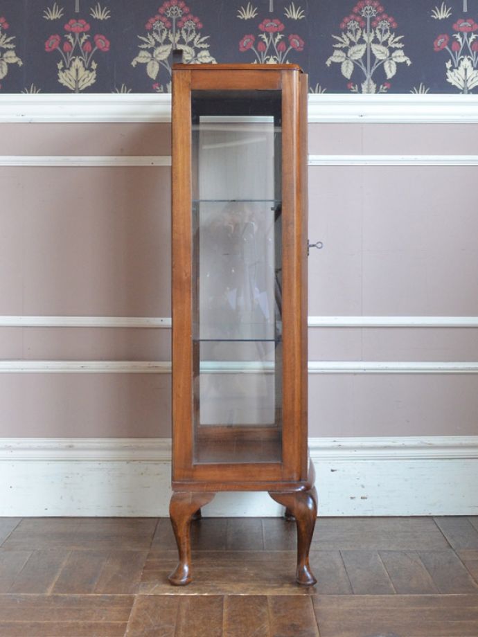 アンティークのキャビネット　アンティーク家具　ウォルナット材のアンティーク家具、英国輸入のガラスキャビネット（飾り棚）。サイドもガラスなので、どこから見ても美しいです！。(k-1302-f)