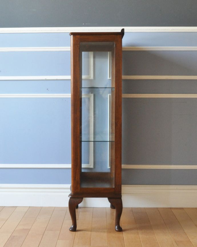 アンティークのキャビネット アンティーク家具 英国のコンパクトなアンティーク家具、ウォルナット材のガラスキャビネット (飾り棚)。サイドもガラスなので、どこから見ても美しいです!。(k-1581-f)
