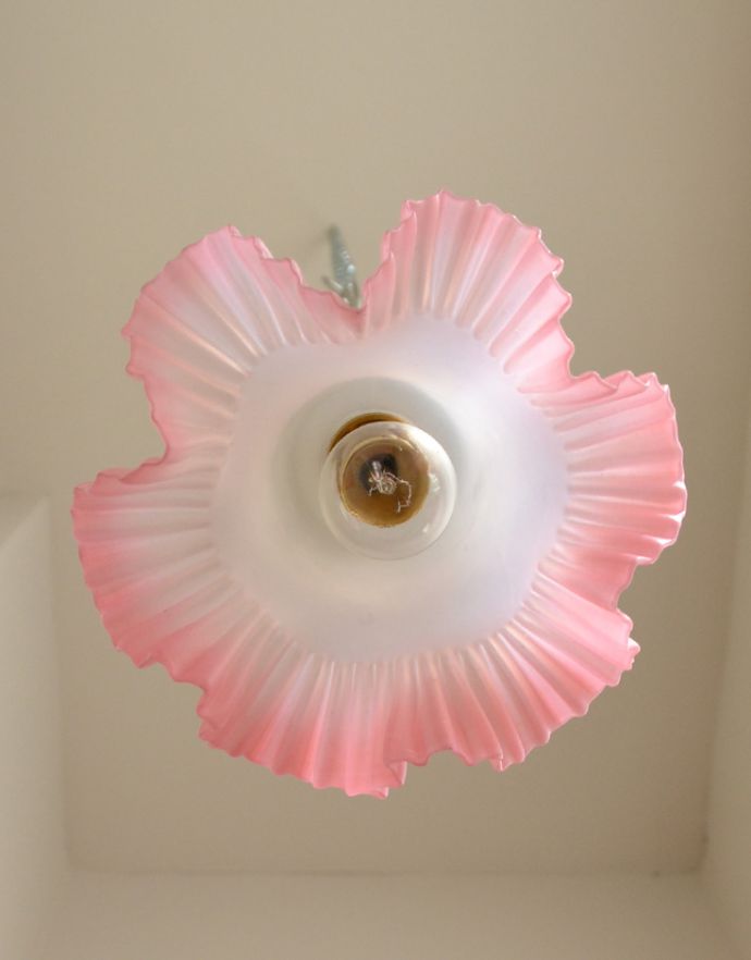 ペンダントライト　照明・ライティング　ピンクのフリルがフェミニンなアンティーク天井付け照明（ペンダントライト）（コード・丸球付き）。フリルがしっかりと表現されているので、下から見たときもとっても素敵なんです。(k-1593-z)