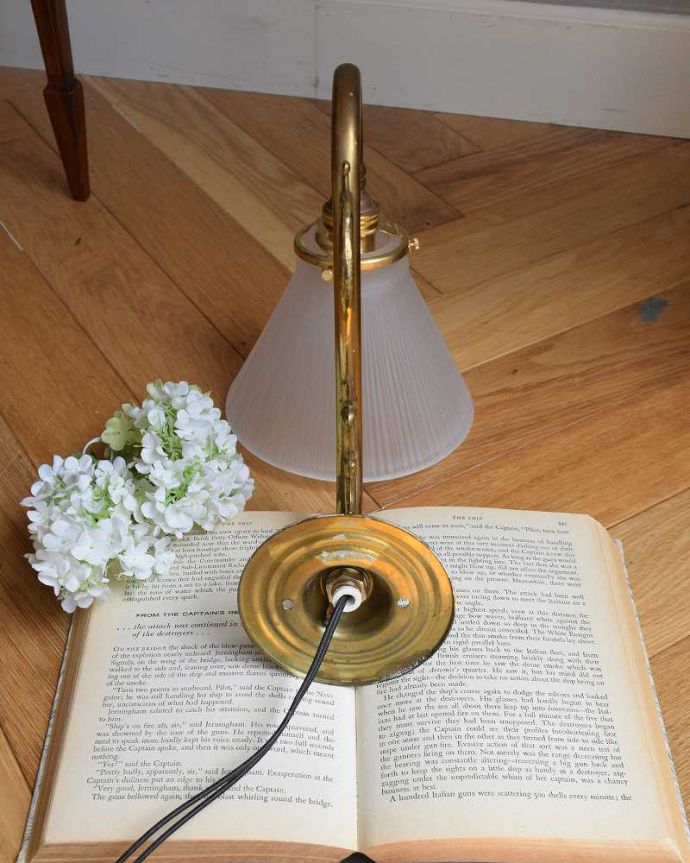 壁付けブラケット　照明・ライティング　植物モチーフがキレイなアンティークウォールブラケット（Ｅ17シャンデリア球付）。※配線に直結するので、電気屋さんによる取り付け工事が必要です。(k-1874-z)