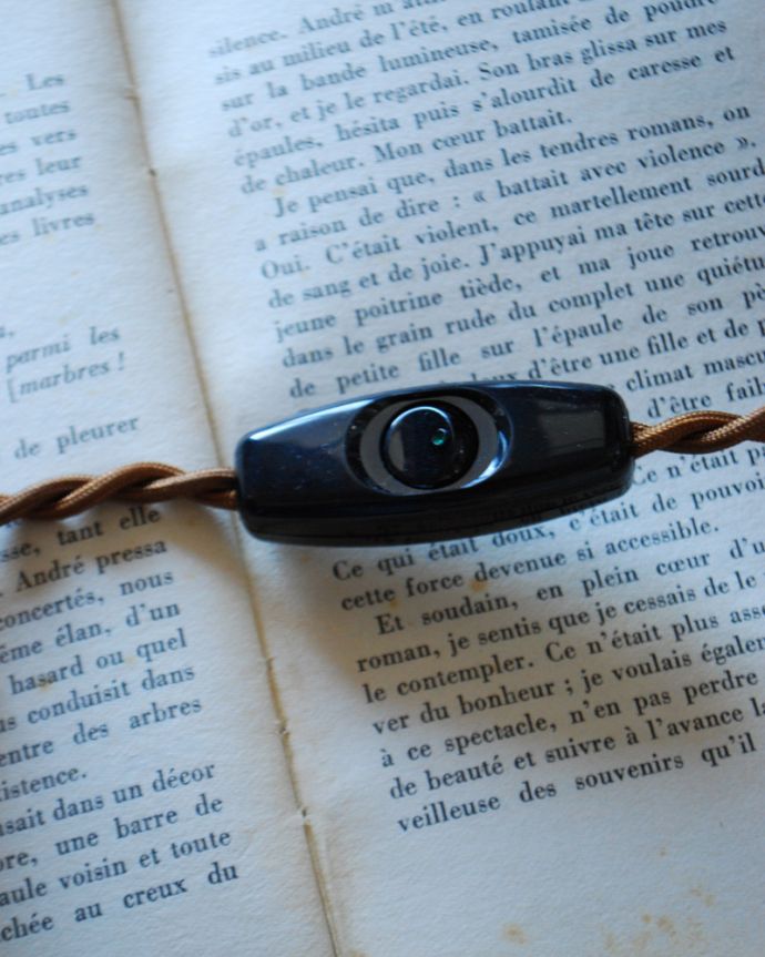 スタンドライト 照明・ライティング お花の絵が描かれたフランスのアンティークテーブルランプ(シェード付き)(E17シャンデリア球付)。スイッチです。(m-1607-z)