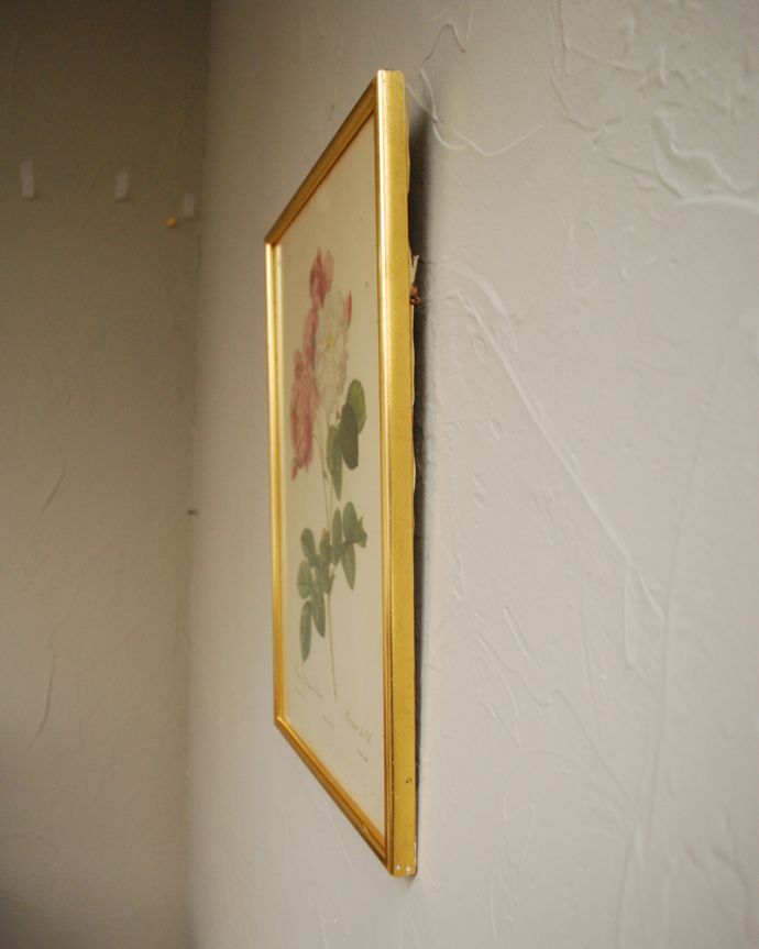 アンティーク その他の雑貨　アンティーク雑貨　フランスで見つけたアンティーク雑貨、ルドゥーテバラ図鑑「ロサ・ダマスケーナ」。玄関やリビング寝室や廊下、お気に入りの場所に付けて楽しんで下さい。(m-1753-z)