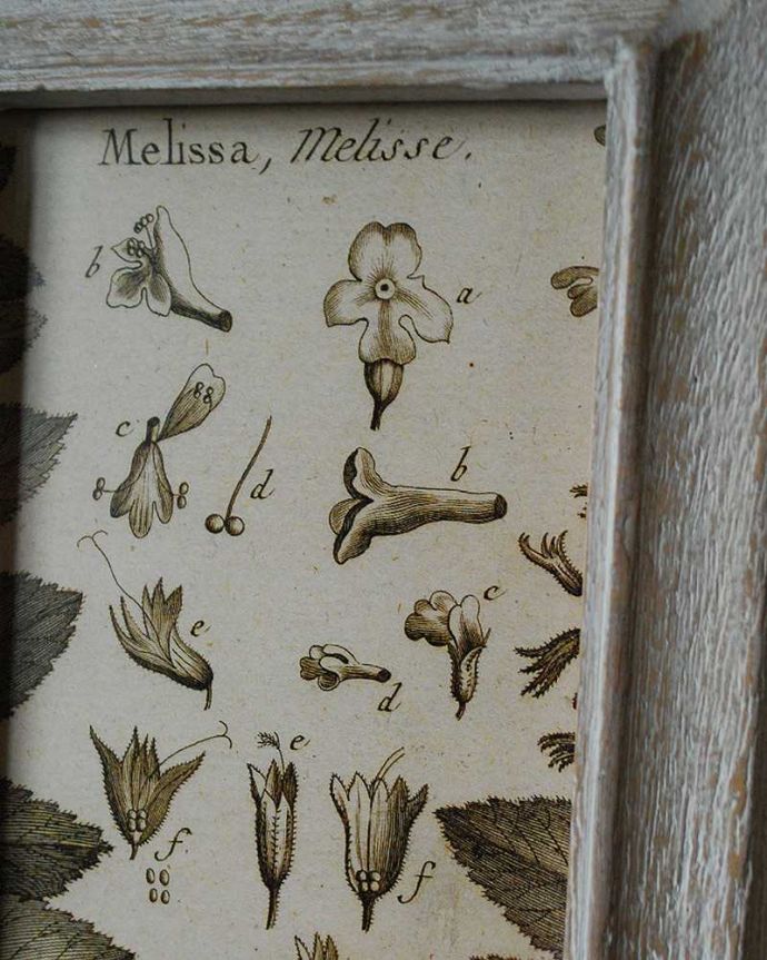 リビング雑貨 インテリア雑貨 ホワイトウォッシュフレーム レクタングル サンドブラストB。どんなインテリアにも合わせやすい、木製のフレームです。(n7-097)