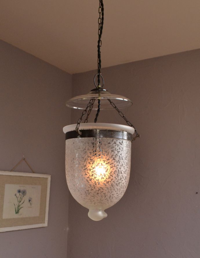 ペンダントライト　照明・ライティング　フロストグラスに植物のデザインがキレイなハンギングガラスシェード、アンティーク風ランプ（電球なし） 。あたたかい光がお部屋を包み込みます。(pl-146)