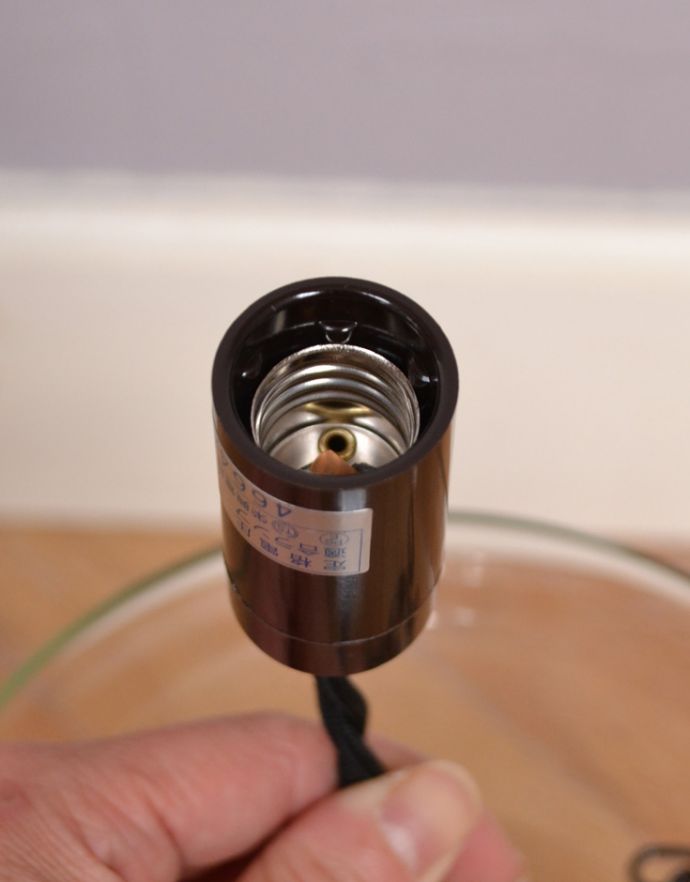 ペンダントライト　照明・ライティング　フロストグラスに植物のデザインがキレイなハンギングガラスシェード、アンティーク風ランプ（電球なし） 。日本球球対応のランプです。(pl-146)