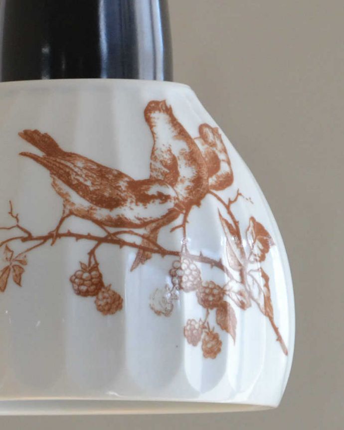 ペンダントライト　照明・ライティング　可愛い磁器製（ブラウン）シェードのペンダントライト（50cmコード・Ｅ26球・ギャラリーなし）。陶器の質感と、ナチュラルな小鳥のイラストがシェードがお部屋のアクセントになります。(pl-183)