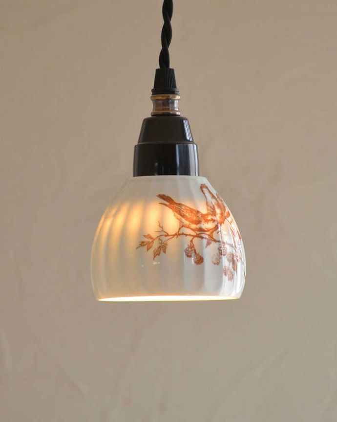 ペンダントライト　照明・ライティング　可愛い磁器製（ブラウン）シェードのペンダントライト（50cmコード・Ｅ26球・ギャラリーなし）。やわらかく灯る温かい光が魅力です。(pl-183)