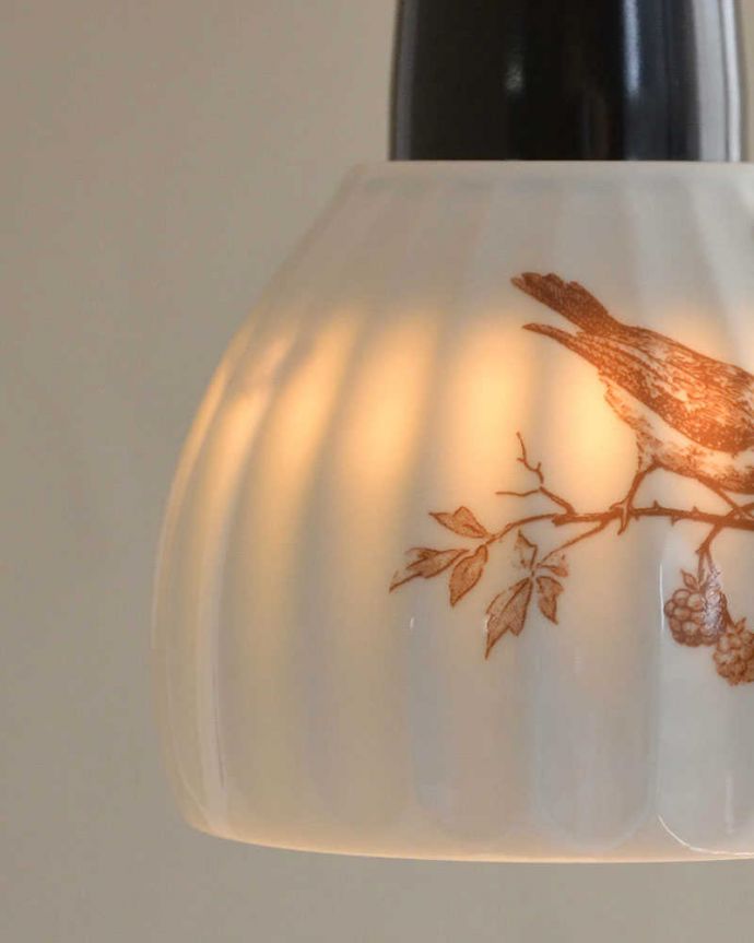 ペンダントライト　照明・ライティング　可愛い磁器製（ブラウン）シェードのペンダントライト（50cmコード・Ｅ26球・ギャラリーなし）。小さくても存在感がたっぷりです。(pl-183)