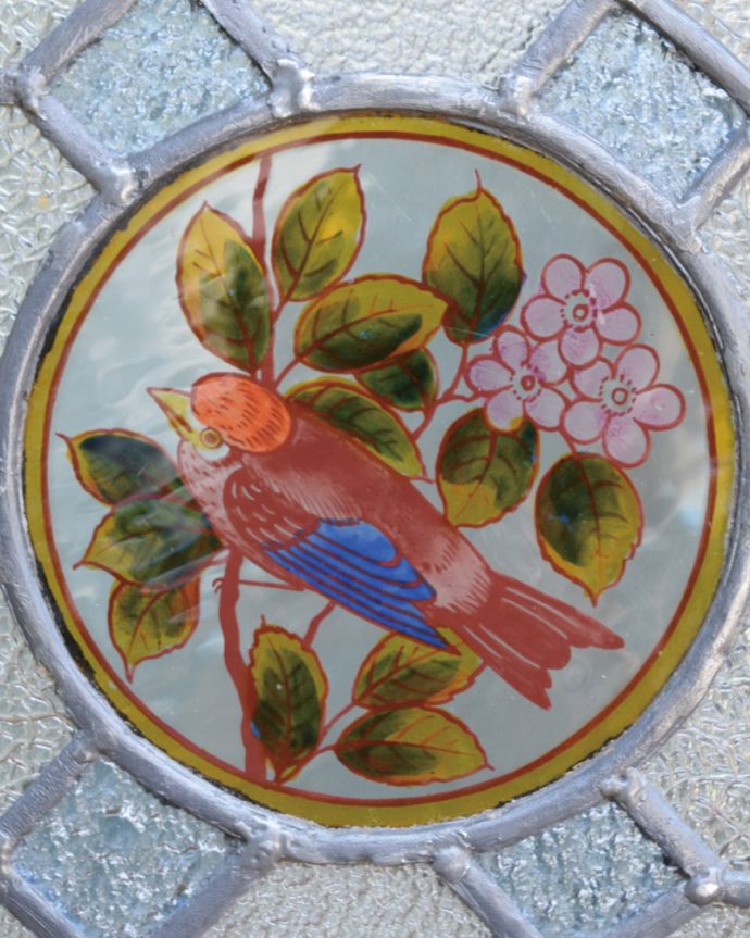 アンティークのキャビネット アンティーク家具 2羽の小鳥が可愛いステンドグラスの扉、英国輸入のアンティーク家具(ブックケース)。右側にはメスの青い鳥が右側にはオスを優しく見つめるメスの青い鳥が。(q-1128-f)