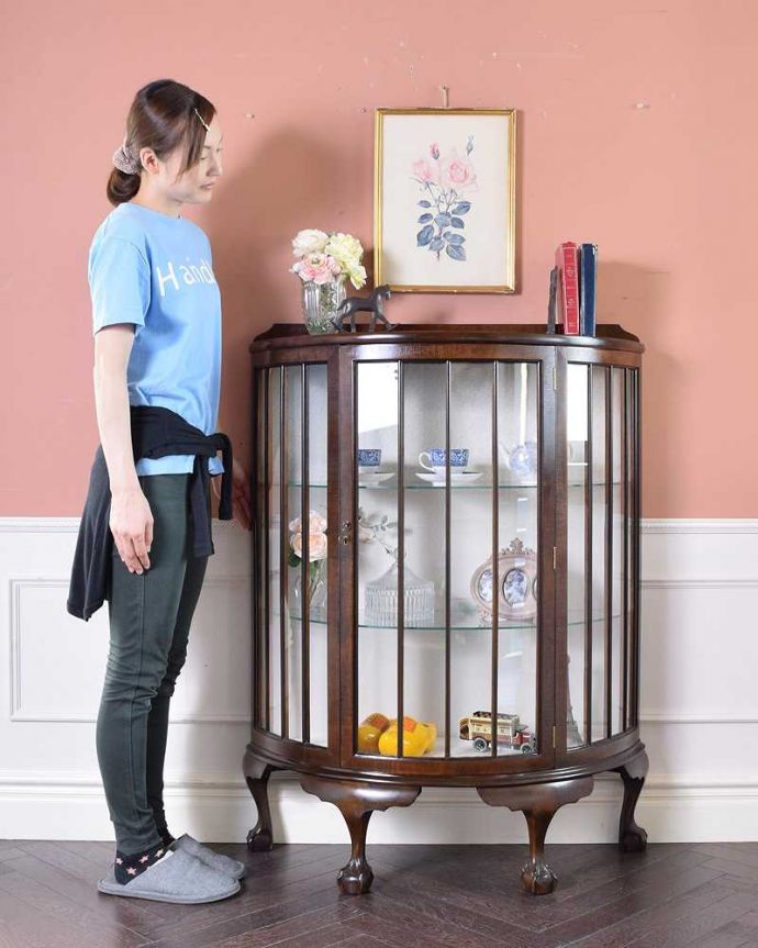 アンティークのキャビネット　アンティーク家具　英国から届いたのアンティーク家具、ウォルナット材のガラスキャビネット。180度どの角度からも中が見えるハーフムーンのキャビネット（モデルの身長は165cmです）。(q-1201-f)