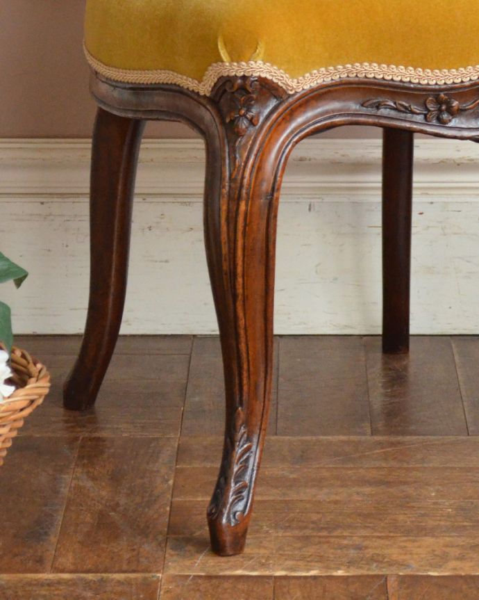 サロンチェア アンティーク チェア 華やかなイエローのサロンチェア、美しいアンティークの椅子。きちんとお直ししていますので、大柄な男性でも安心してお掛け下さい。(q-175-c)