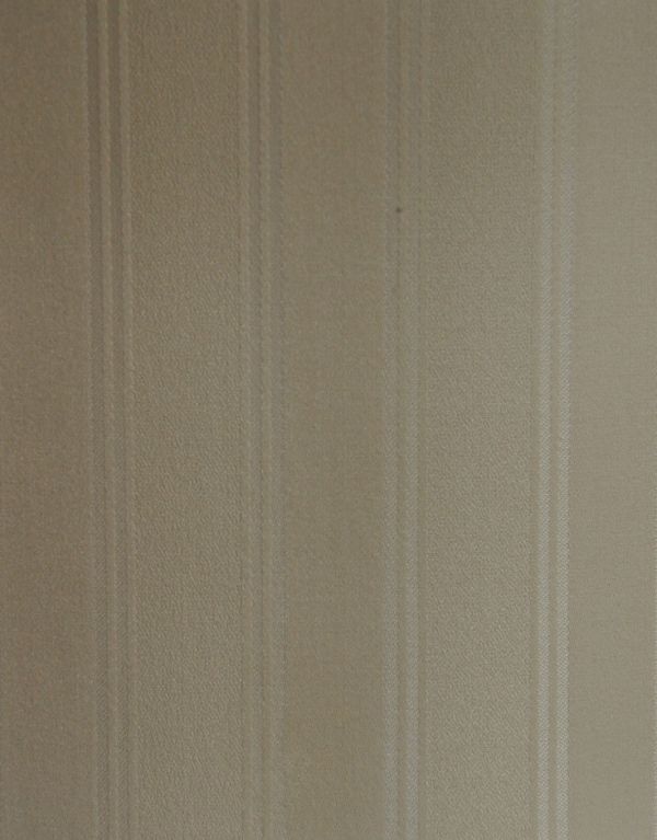 アンティークのキャビネット アンティーク家具 英国のアンティーク家具、模様入りのミラーが華やかなガラスキャビネット(飾り棚)。柄物の食器やお気に入りのアイテムが引き立つようにシンプルな生地です。(q-553-f)