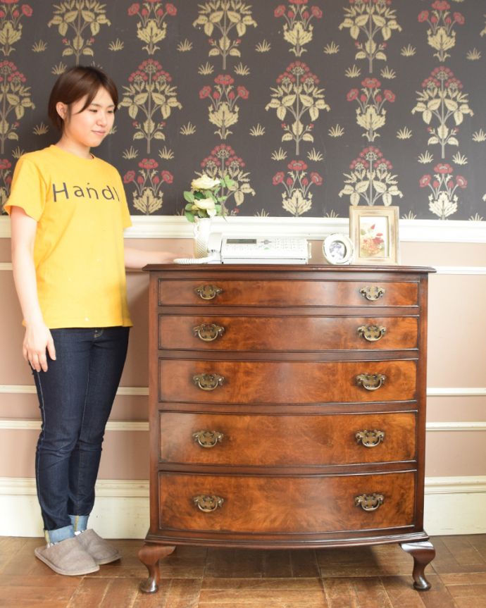 アンティークのチェスト アンティーク家具 ウォルナットの木目と艶が美しい、 5杯引き出し付きのアンティークチェストオブドロワーズ。高級感があって女性らしい優しいシルエット。(q-737-f)