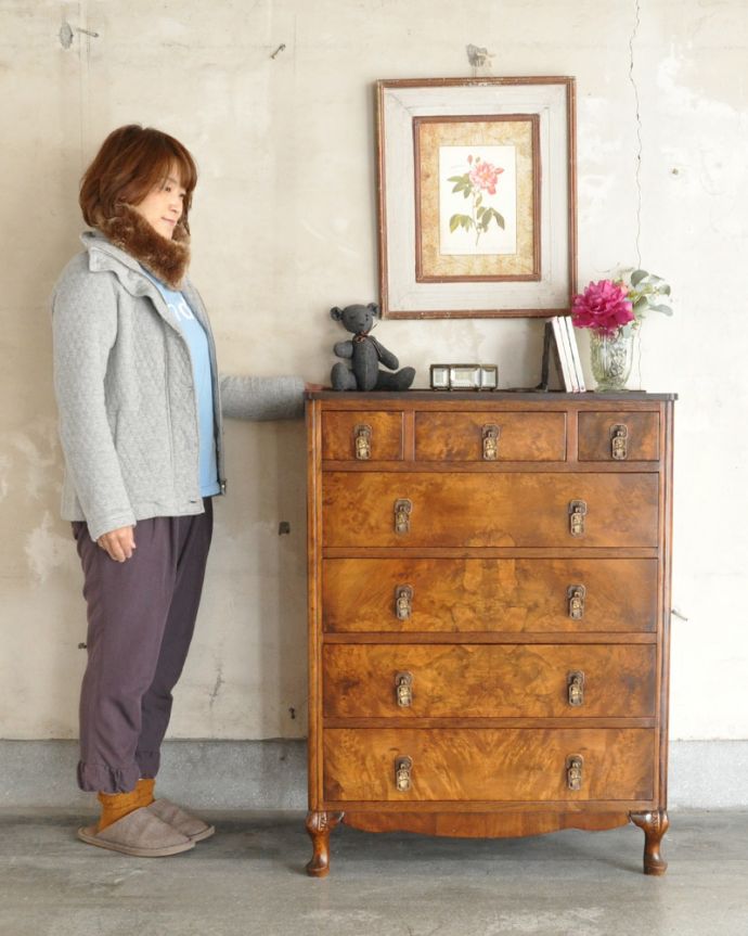 アンティークのチェスト　アンティーク家具　ハイセンスなチェストオブドロワーズ、ウォルナット材のアンティーク家具。高級感があって女性らしい優しいシルエット。(q-823-f)