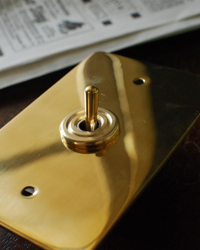スイッチ・スイッチカバー　住宅用パーツ　真鍮プレートスイッチ。トイレやちょっとしたところに付けてみてください。(sw-08)