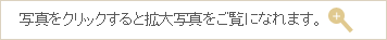 写真をクリックすると拡大写真をご覧になれます。