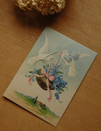 コントワール・ド・ファミーユのポストカード（鳩と青い花） (cf-159)