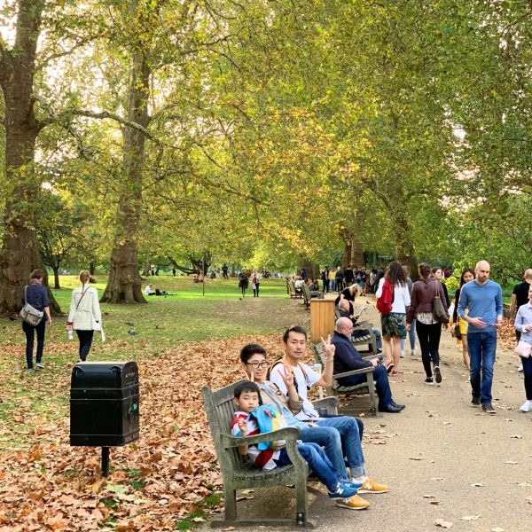 鳥たちの楽園で、鳥や動物と遊ぶ時間