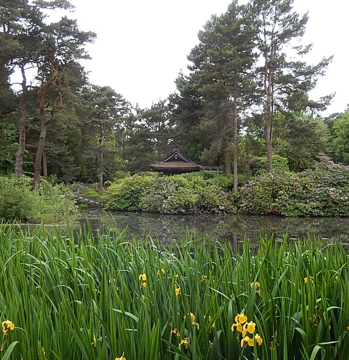 イギリスで日本を感じるタットンパーク内の日本庭園