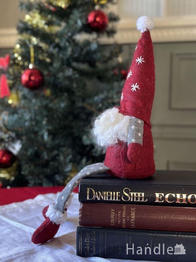 北欧の妖精トムテの横顔