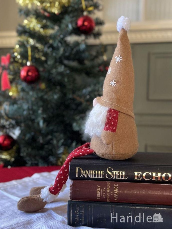 北欧の妖精トムテの横顔