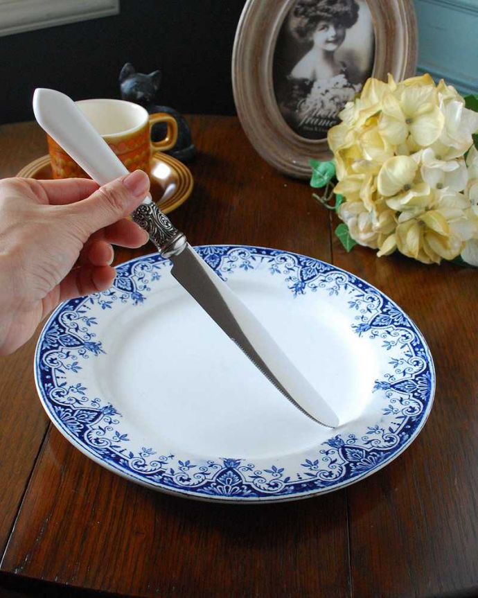 ダイニング雑貨　インテリア雑貨　毎日の食卓もちょっぴり贅沢な気分にしてくれるcote　tableのブラッスリーディナーナイフ（ホワイト）。大きさはコレくらいです。(gc-197)