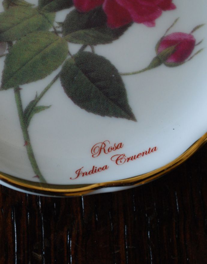 お皿（プレート）　インテリア雑貨　イギリスで買い付けてきた雑貨、ボーンチャイナ　薔薇のプレート（小皿）。「Rosa Indica Cruenta 」のロゴが入っています。(h-221-z)