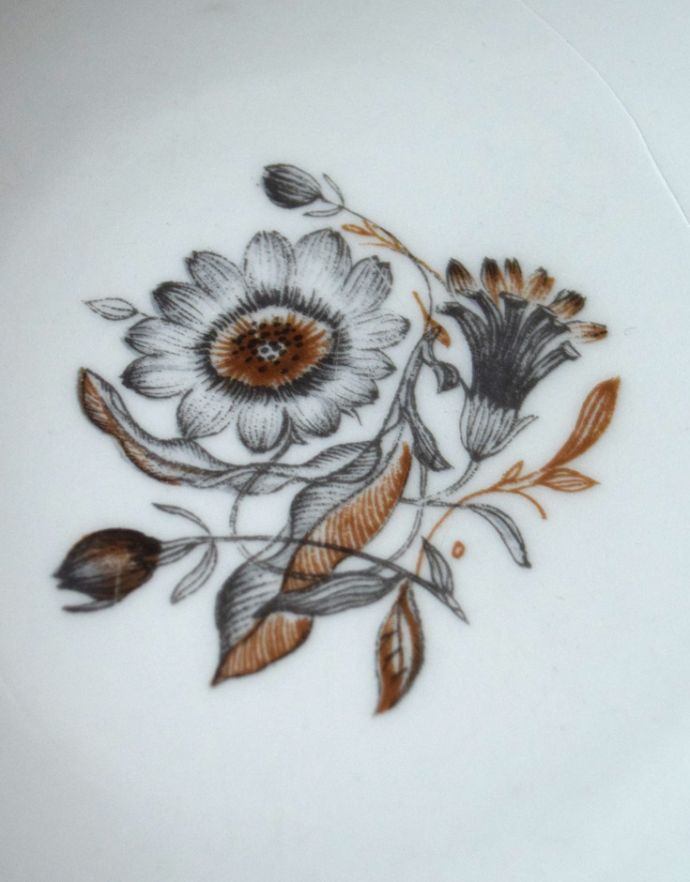 スージークーパー　アンティーク雑貨　イギリスのヴィンテージ食器、スージークーパーのトリオ（ブレーマー）。プレートにもカップとお揃いのお花がデザインされています。(k-1652-z)