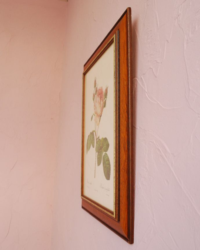 木の雑貨　アンティーク雑貨　アンティークフレーム　ルドゥーテ　ローズ　「ロサ・ケンティフォリア」。ピンクのローズが壁を華やかに彩ります。(m-1557-z)