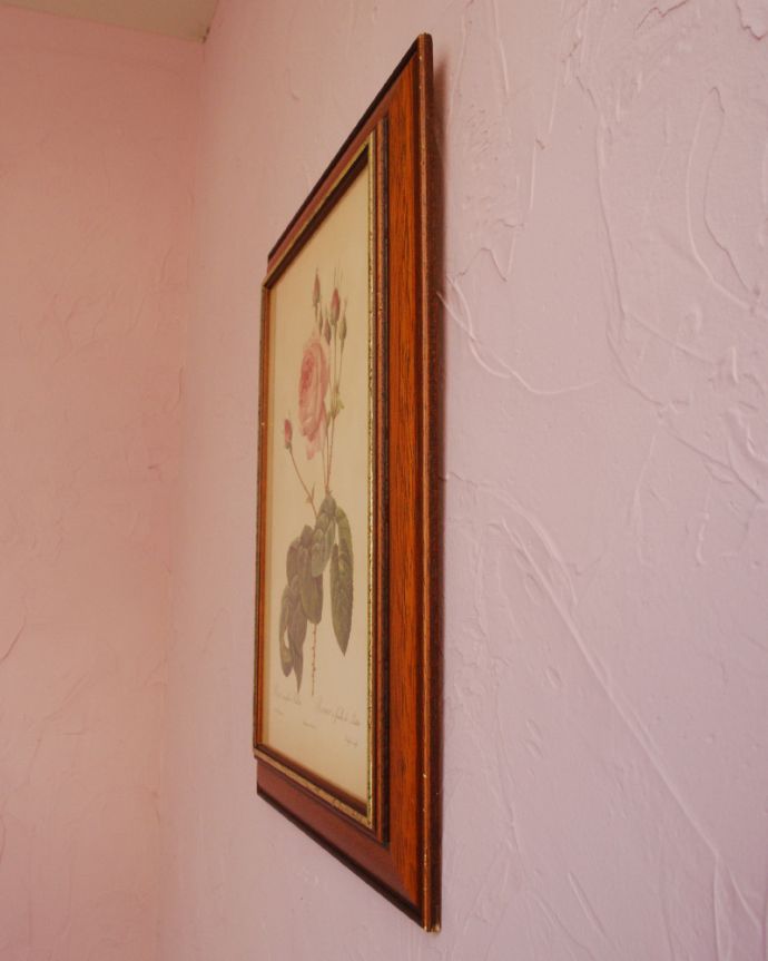 木の雑貨　アンティーク雑貨　憧れのルドゥーテローズのアンティークアートフレーム、　「ロサ・ケンティフォリア」。ピンクのローズが壁を華やかに彩ります。(m-1558-z)