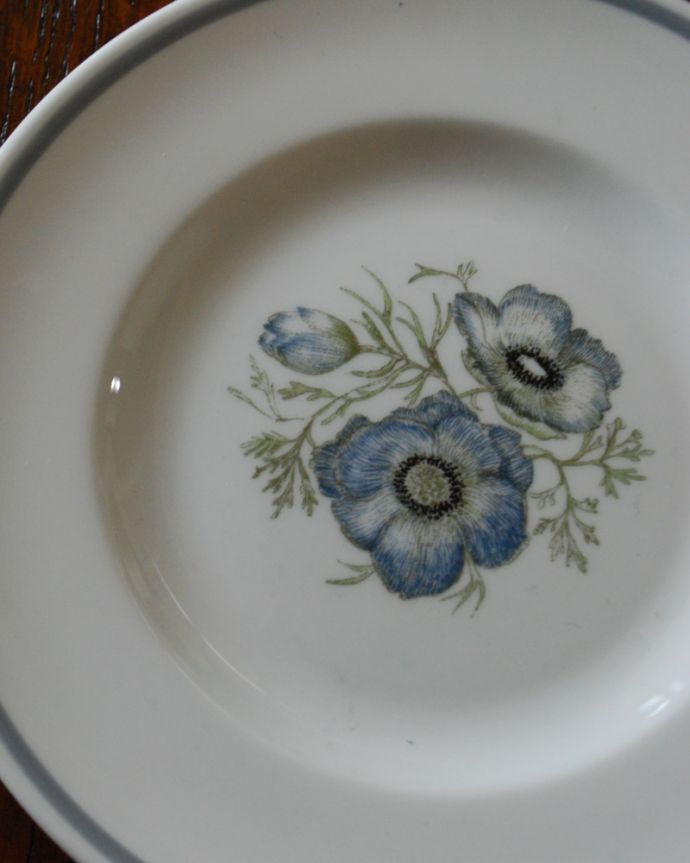 スージークーパー　アンティーク雑貨　美しい青い花のスージークーパーグレンミスト、イギリスのアンティークプレート。霧深い渓谷にひっそりと咲く花「グレンミスト」大人色のお花はスージークーパーがスコットランドやアイルランドの霧深い渓谷に咲くお花をイメージして描いたもの。(m-1832-z)