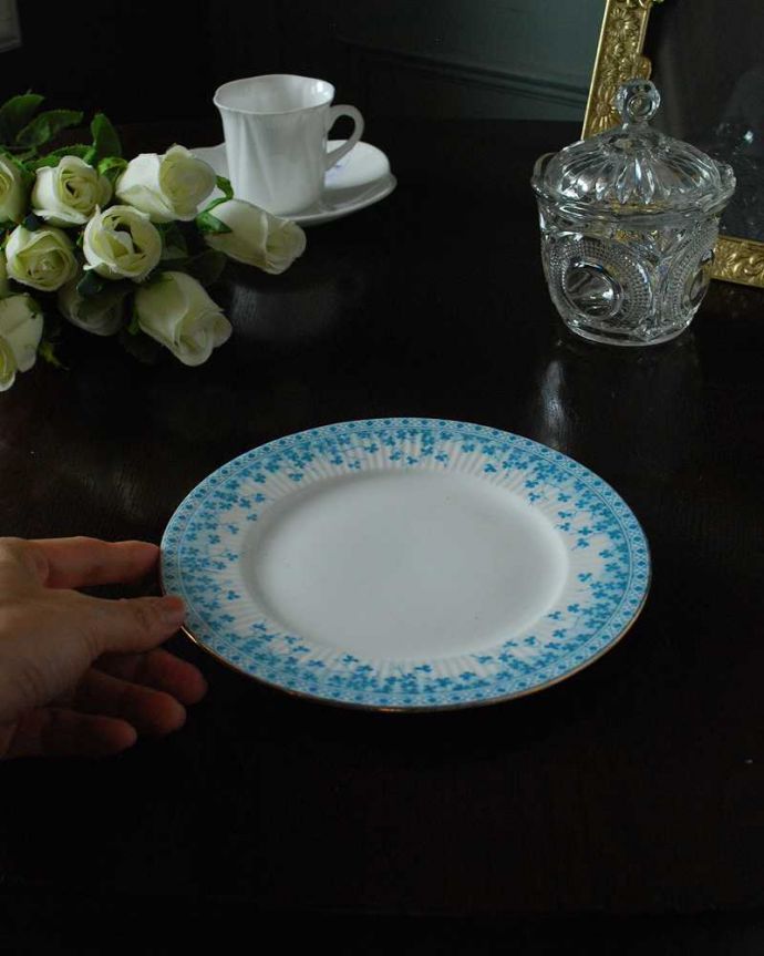 アンティーク 陶磁器の雑貨　アンティーク雑貨　愛らしいクローバー柄の水色のアンティークプレート（ワイルマン）。飾って使って楽しむアンティーク実用的に一番使いやすいサイズ。(m-2563-z)