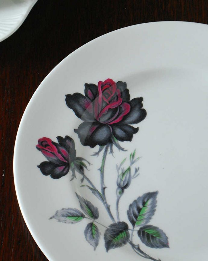 アンティーク 陶磁器の雑貨　アンティーク雑貨　オトナ色の薔薇が印象的なアンティークの陶磁器、ロイヤルアルバート社のプレート（マスカレードシリーズ）。オトナ色の黒薔薇が美しいマスカレードマスカレードという名前が付いたロイヤルアルバート窯の陶磁器。(m-3619-z)