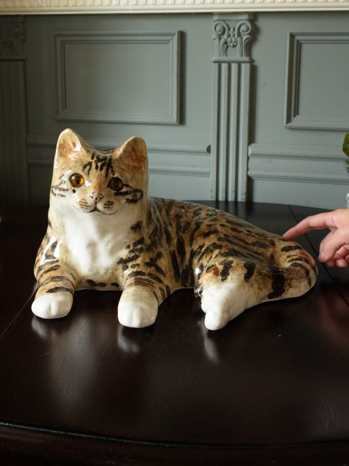 サイズ5の大きなグレ白の猫、ウィンスタンレイキャット（ケンジントン