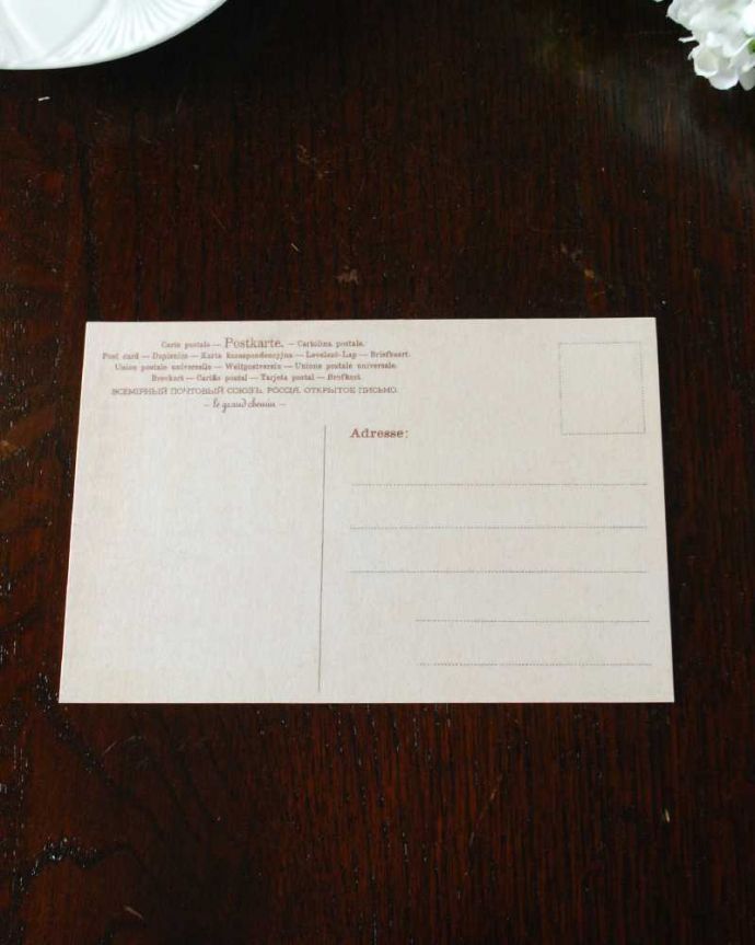 ポストカード　インテリア雑貨　お花の模様が描かれたアンティーク風のポストカードセット（5枚入り）。裏面はこんな感じ宛名やメッセージを書くことが出来ます。(n13-007)