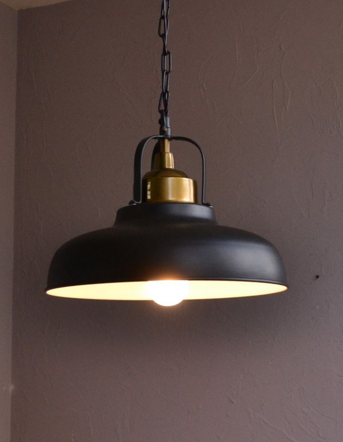 コントワールドファミーユ　照明・ライティング　コントワール・ドゥ・ファミーユのサスペンション　メタルノワール（電球なし） 。クールなお部屋作りのアクセントにピッタリ。(pl-152)