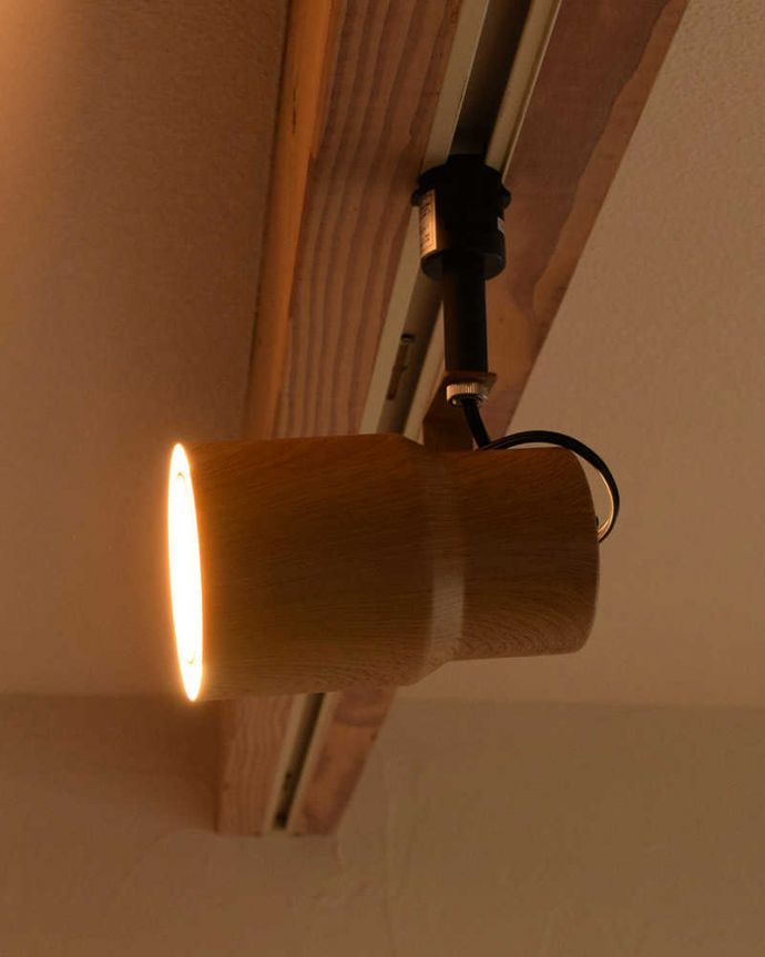 スポットライト　照明・ライティング　オシャレなダクトレール用LED電球セット付きのスポットライト。角度も調整できます好きな場所が照らせるよう角度調整ができるようになっています。(pl-202)