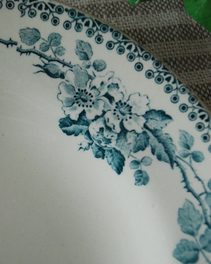 テーブルウェア(食器)　アンティーク雑貨　色も美しい野薔薇がデザインされたフランス スーププレート（GUADELOUPF）。縁どりの細かい模様も繊細なデザインです。(x-786-z)