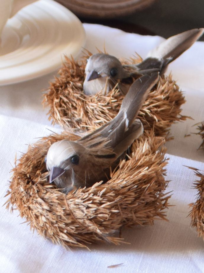 フランス生まれのおしゃれなディスプレイ雑貨