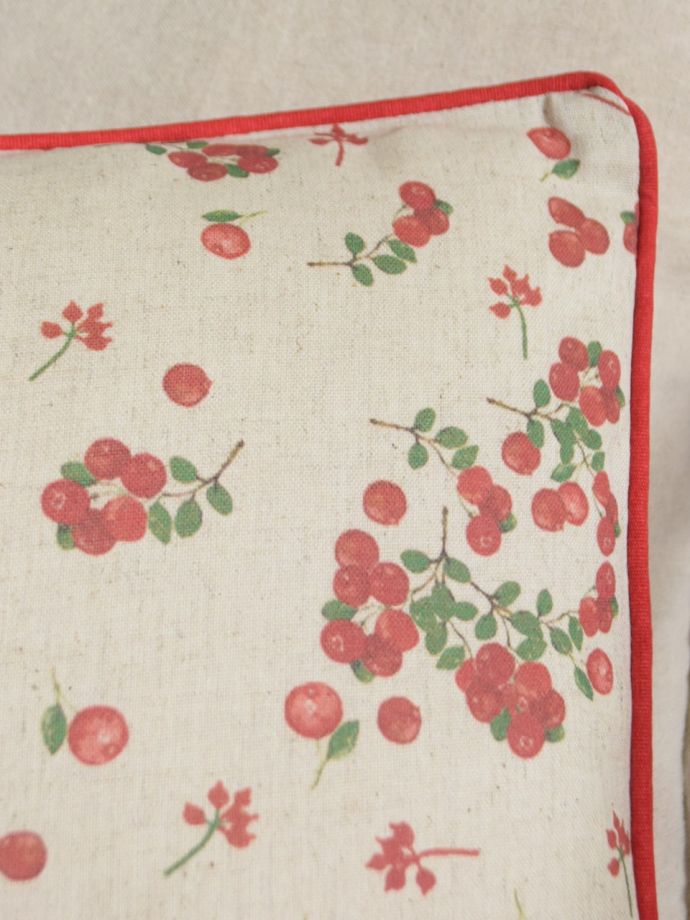 フランス生まれのおしゃれなクッション